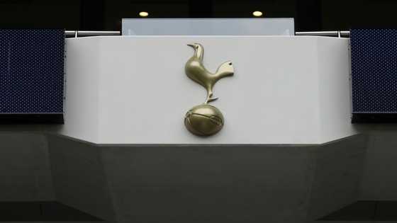 Spurs owner Lewis pleads not guilty to US insider trading charges