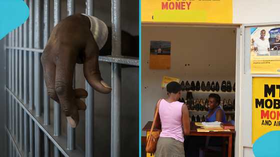 Outrage as CCTV footage links police officer to alleged MoMo robbery spree