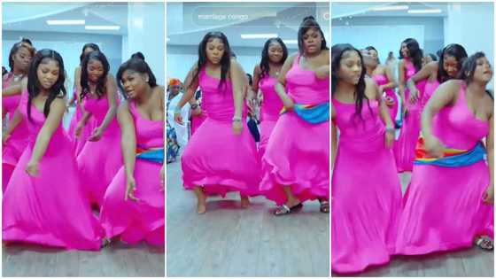 "She took off her shoes": Plus-size bridesmaids in matching purple gowns display fire dance moves at wedding