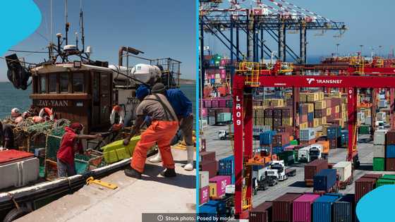 South African port ranks poorly on world bank performance index