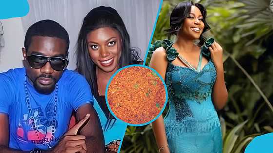 “Was this Sarkodie’s jollof?”: Yvonne Nelson’s symbolic 10-year-old post resurfaces amid viral saga