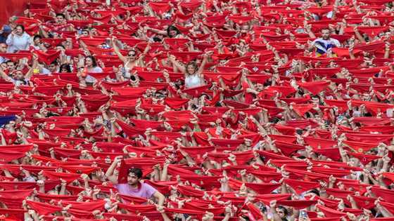 Viva! Spain bull-running fiesta returns after pandemic pause