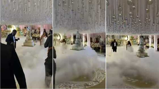 Money de talk: Wedding cake obeys gravity, beautifully 'descends from clouds' to meet couple in stunning video