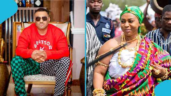 Government takes action against Kantanka security firm after Adwoa Safo shooting, details emerge