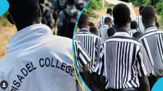 Adisco student assault: Africa Education Watch calls for new protocols to address such "criminal incidents"