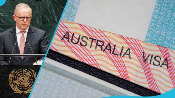 Full list: Australian government reduces visa cost for citizens of 23 countries