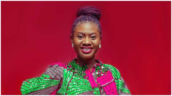 Martha Ankomah Admonishes Gov't To Forbid The Import Of 'Broni W'ewu'