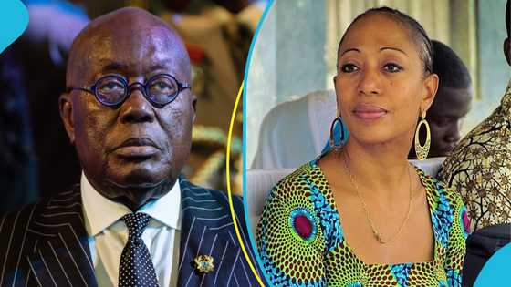 Samia Nkrumah describes anti-gay bill as harsh and unjust, says Akufo-Addo shouldn't assent to it