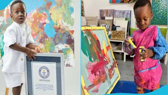 Ace-Liam Nana Sam Ankrah receives certificate from GWR as world's youngest male painter