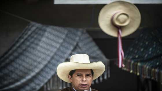 Peru's Castillo marks one year in power in crosshairs of Congress, prosecutors