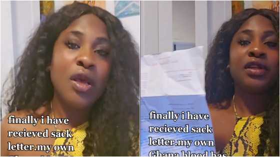 Woman in Germany shares dismissal letter on TikTok, accuses fellow Ghanaian of getting her sacked in emotional video
