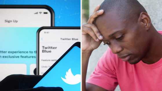 Workers take to Twitter to call out their 'horrible bosses' in the tech & private sector, they react