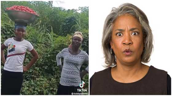 "I struggle to sell them in my village" - GH woman selling entire basin of fresh tomatoes for just GH₵40