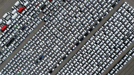 Will EU give ground on 2035 combustion-engine ban?