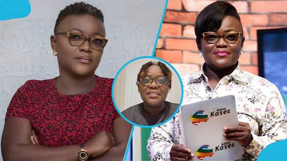 Nana Yaa Brefo explains why she quit her media job in Ghana to become an Uber driver in the US, video