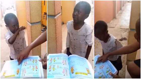 My aunty did not teach me like this: Little girl tearfully knocks her mum teaching her homework in video