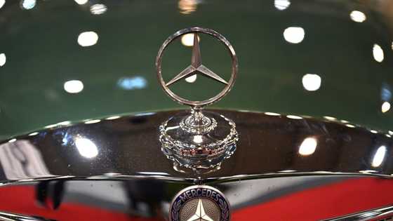 Mercedes-Benz profits plunge as German carmakers reel