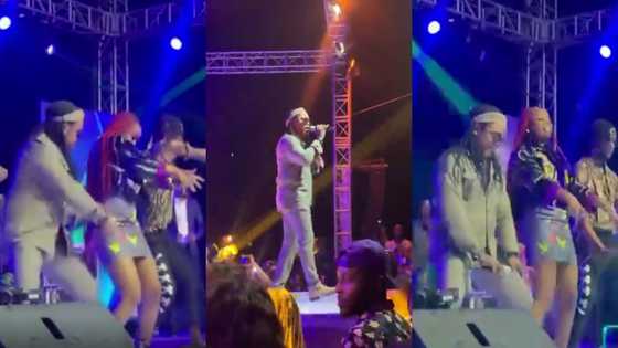 Nana Acheampong surprises daughter Gyakie; storms stage to perform with her