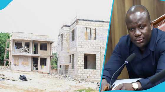 Lands Ministry director drops bombshell: Government accused of using land guards to fight encroachers