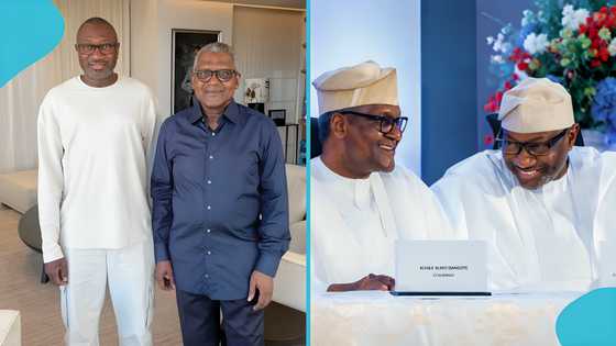 Nigerian billionaire Femi Otedola posts picture with Aliko Dangote, calls him his bestie