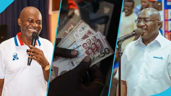 "Candidates with deep pockets": Alarm raised over unprecedented vote buying ahead of NPP primary