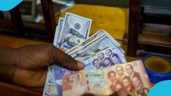 Young man opens up about his business: "I save GH¢10,000 every month from my work here in Ghana"