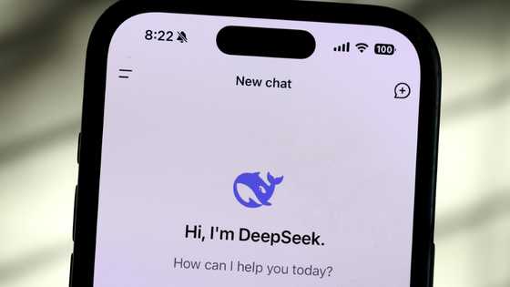 DeepSeek breakthrough raises AI energy questions