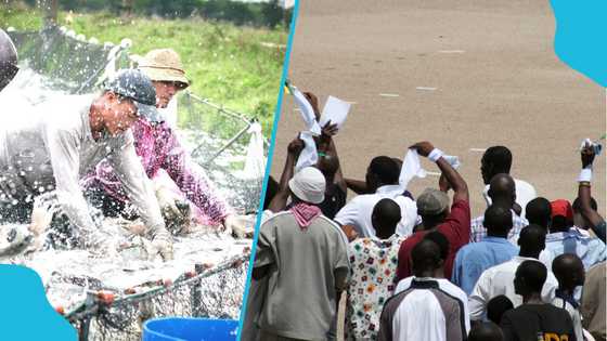 Central Tongu fishermen storm and vandalise Chinese-owned fish farm