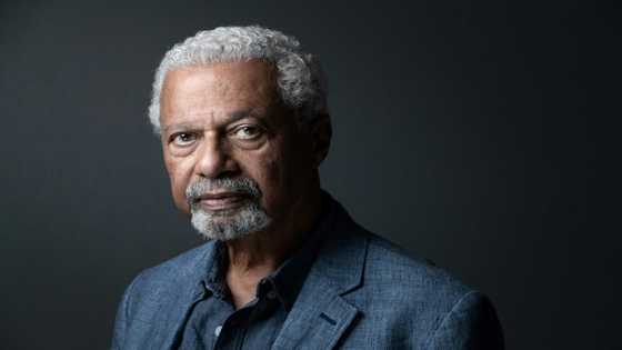 Nobel winner Abdulrazak Gurnah: 'It's good to make right-wingers cry'
