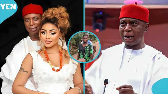 Ned Nwoko suffers humiliating defeat in APC primaries as only 3 voters stand in queue: full results