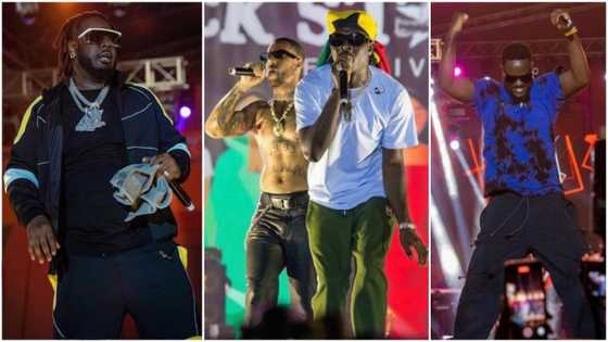 Black Star Line Festival: T-Pain, Sarkodie, Stonebwoy, and other acts thrill fans at maiden concert in Accra