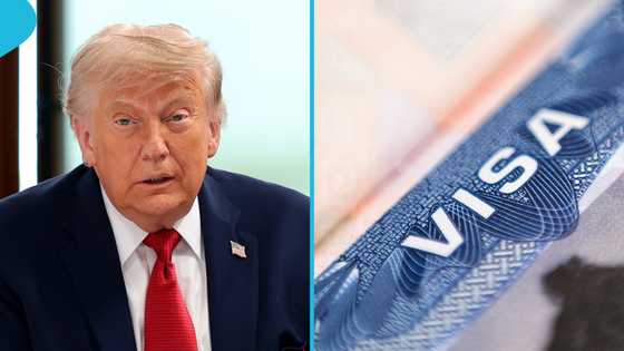 US revokes visas of 3 foreign nationals for fraud, publishes details