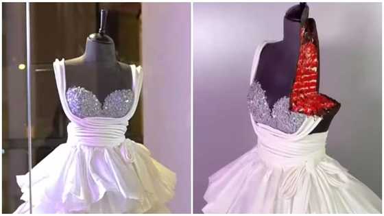 Fashion or food: Internet users left stunned over impressive 'cake dress' in video