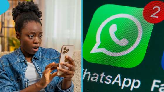 WhatsApp urges users to update app for 5 new features, including calls & videos