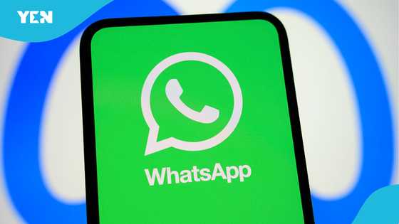 WhatsApp rolls out new features to improve multi-device experience
