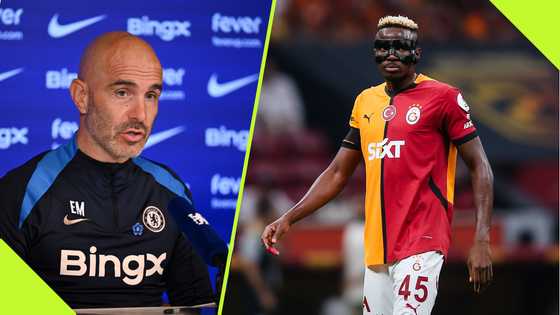 Enzo Maresca details Chelsea's latest stance on Victor Osimhen's signing