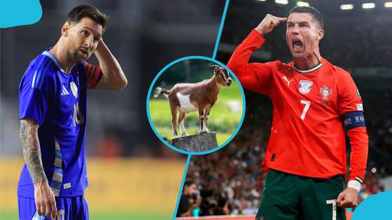 Ronaldo puts GOAT debate to rest, says Messi is not better than him (Video)