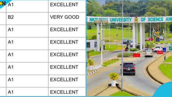 KNUST: Ghanaian man cries out as relative gets denied the chance to study Pharm-D despite getting 7As