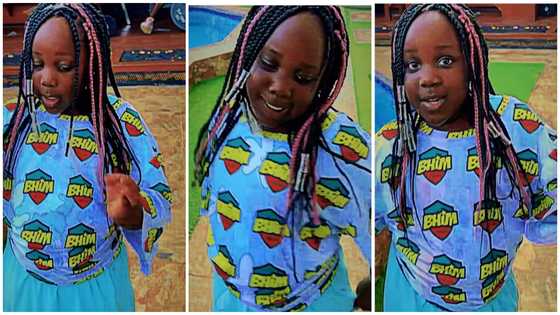 Stonebwoy's daughter sings her father's song word for word in Patois and acts like the dancehall artiste