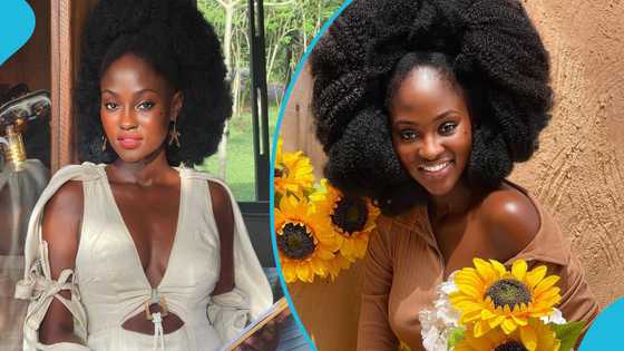 Hamamat Montia Appointed Ghana’s Cultural Ambassador for Shea Butter