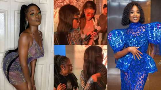 Efya flexes her beauty as she storms her b'day bash in see-through dress to party with Afia Schwar, others
