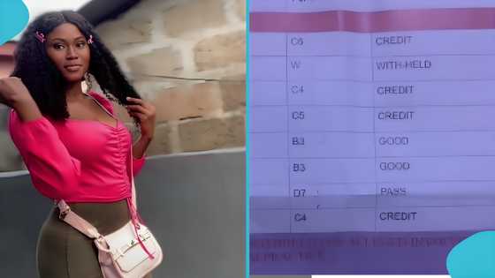 WASSCE 2025: SHS graduate rejoices after checking results, Ghanaians react