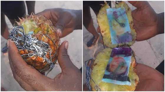 Nigerian finds tied photos of man and lady in pineapple on seashore, vows to open it for 3 days, shares photos