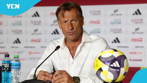 Saudi Arabia sack Herve Renard 2 months before World Cup