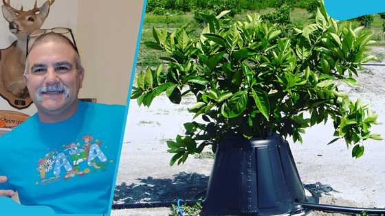 Johnny Georges Tree T-PEE’s net worth story before and after Shark Tank