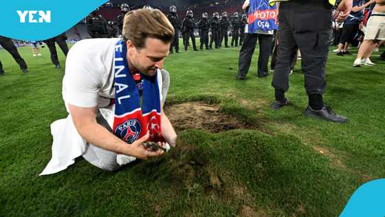 Munich disaster: PSG fans tear Allianz Arena goal net and uproot turf (video)