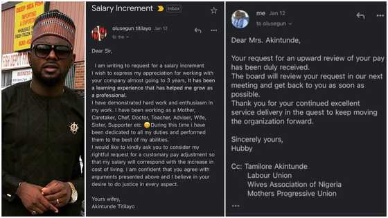 Dear sir, I want salary increment, husband shares photo of email proposal wife sent him to ask for more
