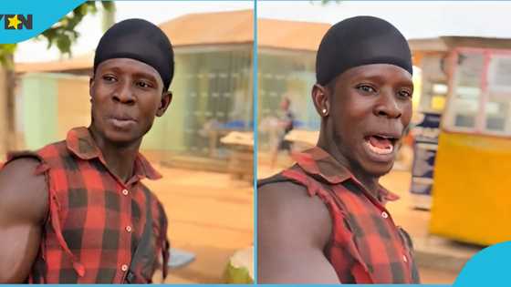 Coconut seller blasts girlfriend for demanding money to buy iPhone, video evokes laughter