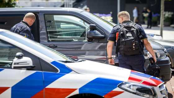 Jewel thieves in brazen Dutch art fair heist