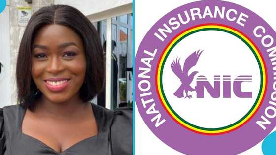 NIC records sharp drop in fake insurance sticker issuance in Western Region for Q1 2025